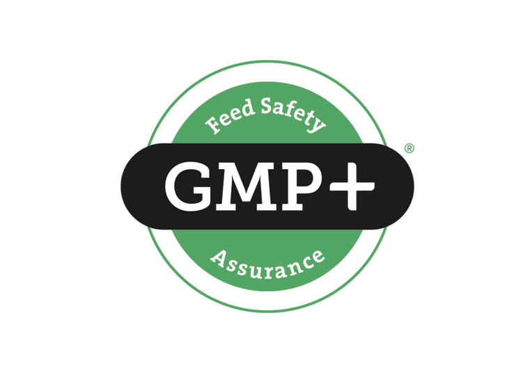 gmp 2